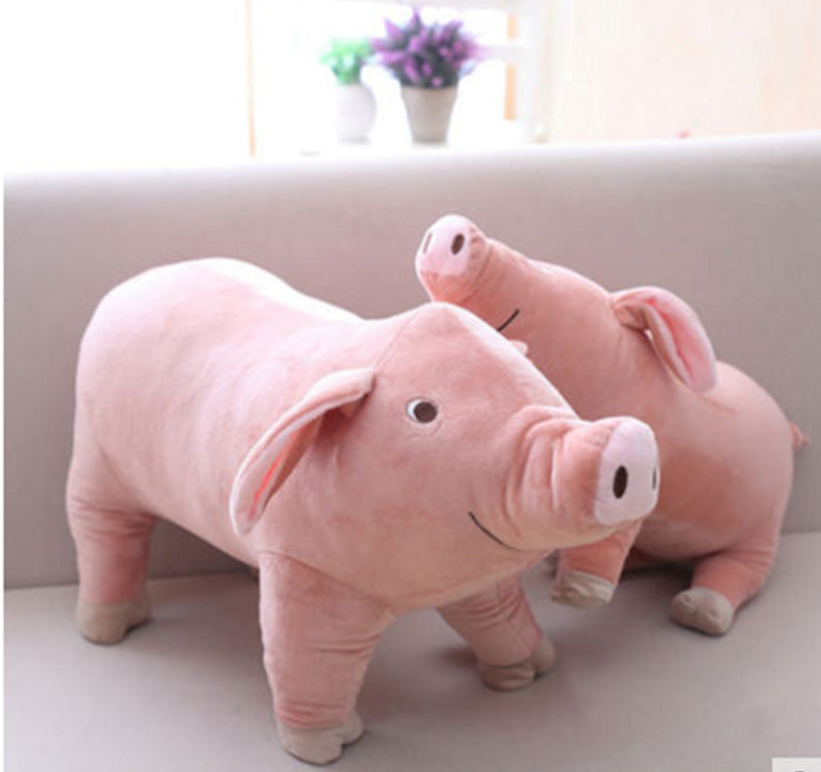 Cute stuffed pig